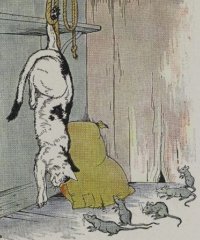 The-Cat-and-the-Old-Rat