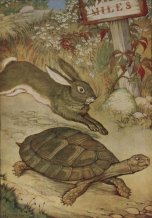 The-Tortoise-and-the-Hare