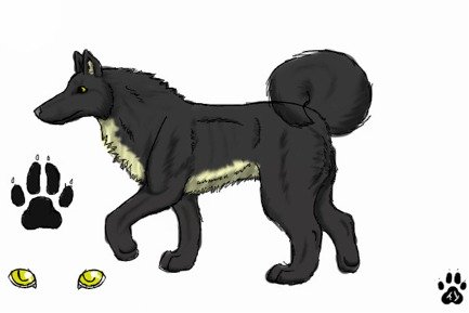 wolf clipart