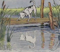 The-Dog-and-His-Reflection